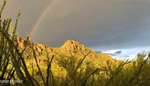 2240 Lone Star Pl, Tucson AZ  85713-6732 exterior