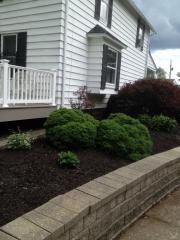 13212 Drake Rd, Cleveland OH  44136-7906 exterior