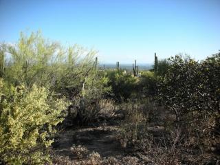 7131 Lemmon Rock Cir, Tucson, AZ 85718-1316