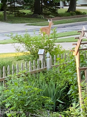 901 Marshall St, Portland MI 48875-1372 exterior