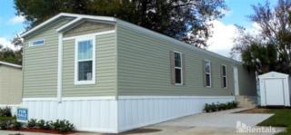 7013 Hudson River Dr, Tampa FL  33619-4010 exterior