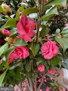 2904 Craiglawn Rd, Silver Spring MD 20904-1819 exterior