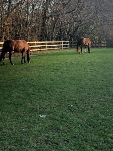 16 Pierce Rd, Sutton MA 01590-2909 exterior