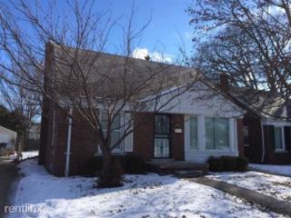 7748 Chatham, Detroit MI  48239-1028 exterior