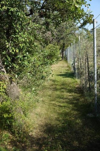 5703 Lockhill Rd, San Antonio TX 78240-1620 exterior