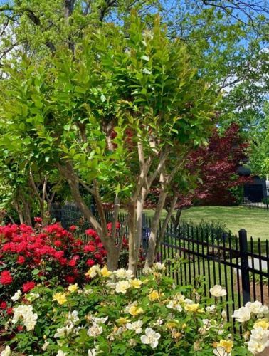 1257 Arkwright Pl, Atlanta GA 30317-0016 exterior