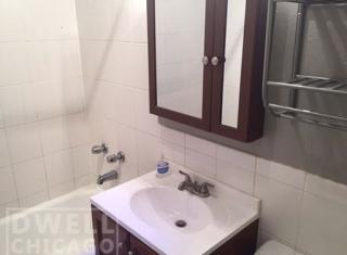 3541 Pine Grove Ave, Chicago IL  60657-1829 exterior