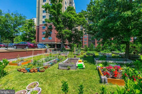 7333 New Hampshire Ave, Silver Spring MD  20912-6958 exterior