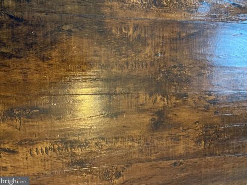 1514 Benner St, Philadelphia PA 19149-3302 exterior