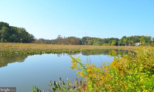 8259 Clifton Farm Ct, Alexandria, VA 22306-3270