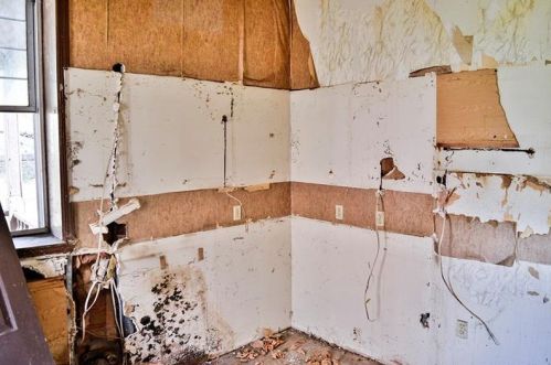 4821 Monongahela St, Pittsburgh PA 15207-1668 exterior