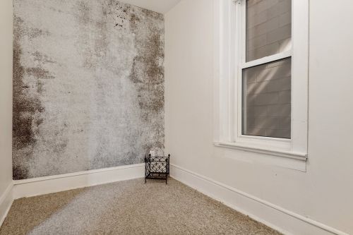 1817 Honore St, Chicago IL 60657-2007 exterior