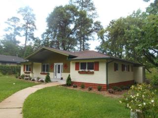 1302 Spring Creek Dr, Spring TX  77386-2324 exterior