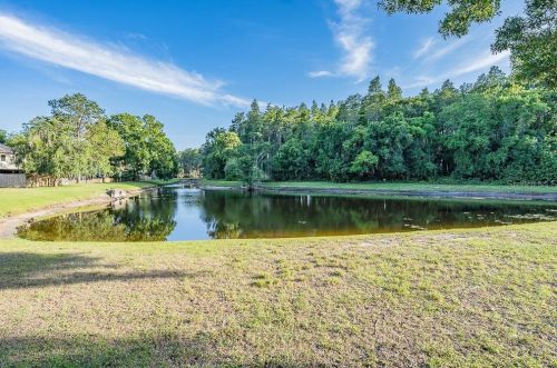 5208 Corvette Dr, Tampa FL  33624-1032 exterior