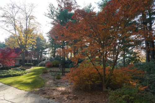 2425 58 St, Fennville MI 49408-8417 exterior