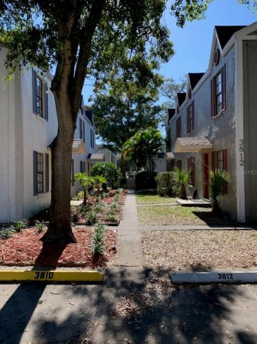 3810 Cleveland St, Tampa FL  33609-2783 exterior