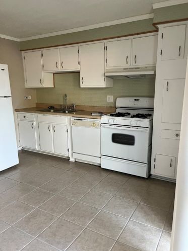 1130 83rd St, Chicago, IL 60620-3101