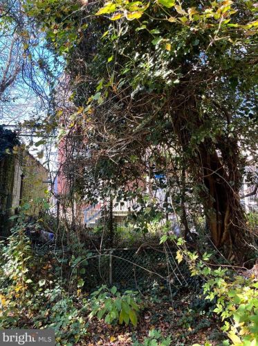 5318 Marvine St, Philadelphia PA 19141-3418 exterior