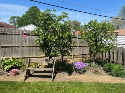 2230 12 Ave, Broadview IL 60153-1404 exterior