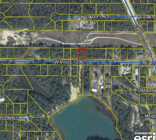 158 Violet Ln, Defuniak Springs FL 32433-6413 exterior