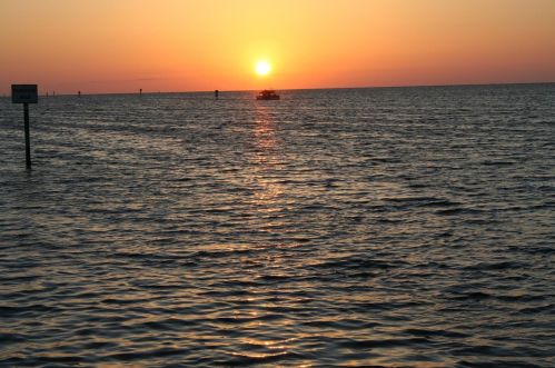 8330 Millwood Dr, Port Richey FL 34667-6975 exterior