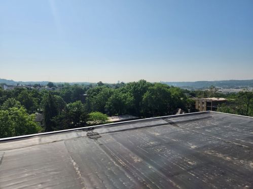 301 Home St, Pittsburgh PA  exterior