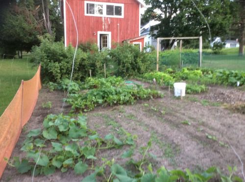 900 Woodward Ave, Big Rapids MI 49307-9201 exterior