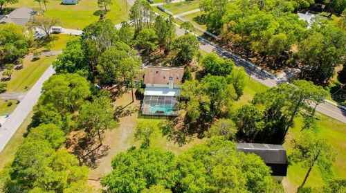 12216 Twin Br Acres Rd, Tampa FL 33626-3711 exterior