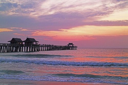 6549 Marissa Loop, Naples FL 34108-7202 exterior