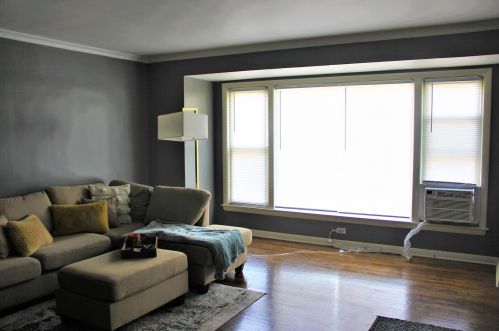 8733 Harper Ave, Chicago IL 60619-4606 exterior