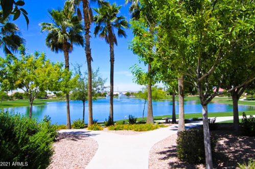 9910 Sunridge Dr, Chandler AZ 85248-6174 exterior