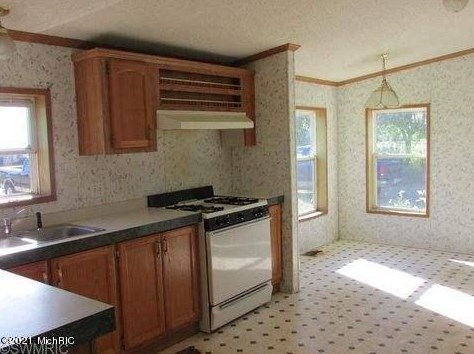 426 Gerald St, Quincy, MI 49082-9452