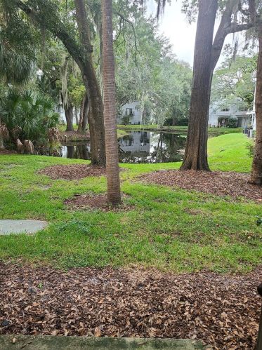 7117 Bank Dr, Tampa FL 33617-7303 exterior