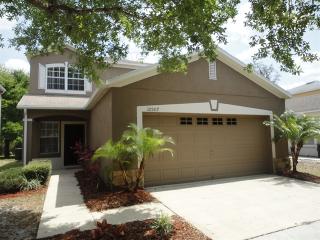 10507 Blackmore Dr, Tampa FL  33647-2969 exterior