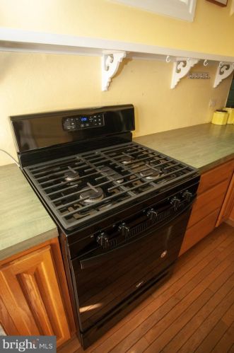 217 Harvey St, Philadelphia PA 19144-3818 exterior