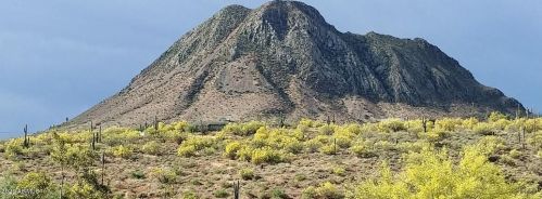 47740 31 Ave, Phoenix AZ 85009-2448 exterior