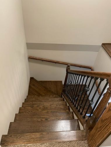 9229 Elizabeth St, Chicago IL 60620-3655 exterior