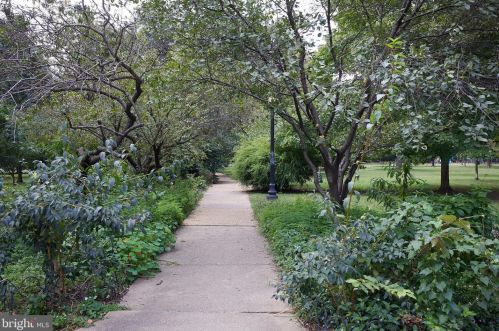 127 Duddington Pl, Washington DC 20003-2610 exterior