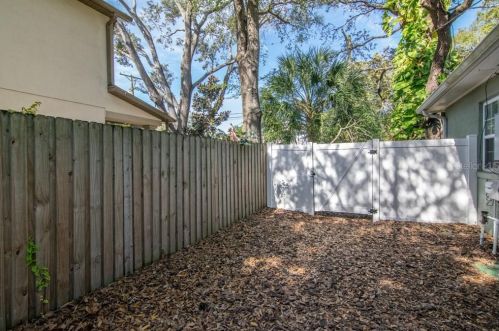 3816 Leona St, Tampa FL 33629-7824 exterior