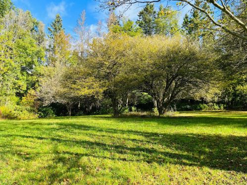 223 8th St, Marion, MI 49665-9600