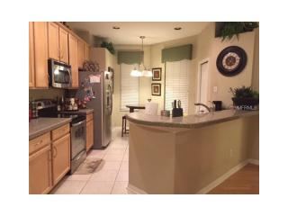 10039 Bucklin St, Tampa FL  33625-4931 exterior