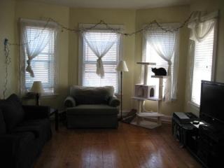 26 Saxton St, Boston MA  02125-1437 exterior