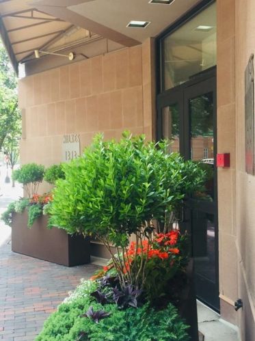 1313 Washington St, Boston MA  02118-2058 exterior