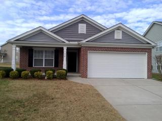 334 Stewart Springs Dr, Smyrna TN  37167-7719 exterior