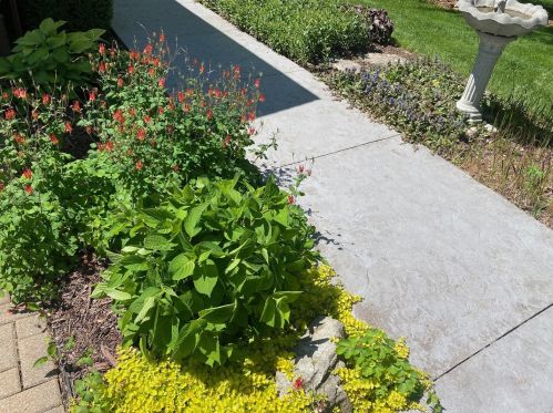 9809 Partridge Ln, Bull Valley IL 60014-6606 exterior