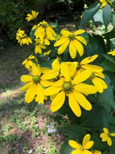 75 Massasoit Rd, Eastham MA 02642-1500 exterior