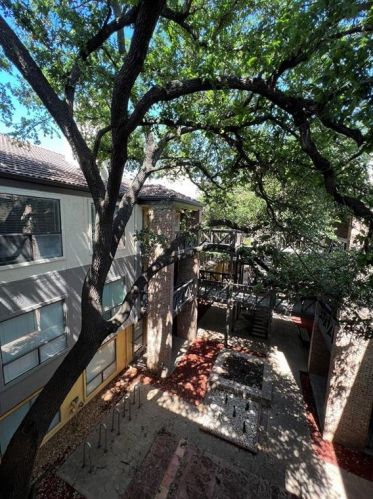 806 24th St, Austin TX  78705-4730 exterior