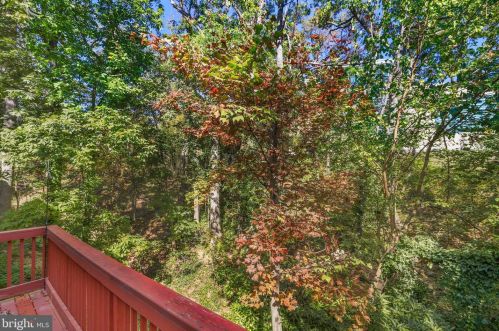 5001 Domain Pl, Alexandria VA 22311-5006 exterior