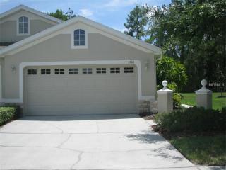 3306 Chapel Creek Cir, Zephyrhills FL  33544-7703 exterior