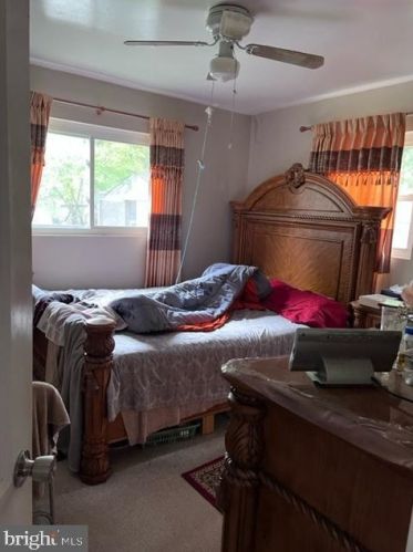 2824 James Dr, Alexandria VA 22303-1338 exterior